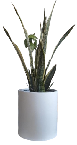 Maceta Cilindro 30x33