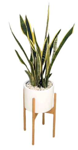 Maceta Cilindro 30x23