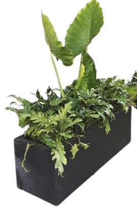 Maceta Jardinera 1m x 30 x 30