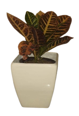 Maceta Obelisco 14x17