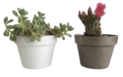 Maceta Clásica Grande 13x10