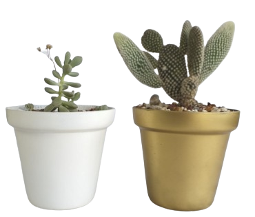 Maceta Clásica Chica 12x13