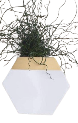 Maceta Hexágono Pared 13x23x8