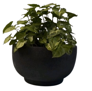 Maceta Copón con Base 27x19