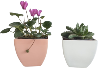 Maceta Obelisco Mini de 10x10