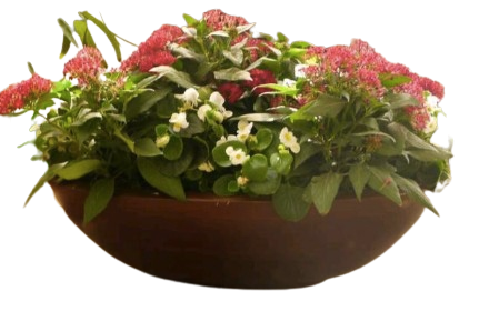 Maceta Ovalada 66x30x11