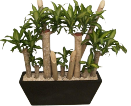 Maceta Jardinera Barco 80x20x30